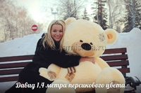 Мишка 1.4м «Давид»